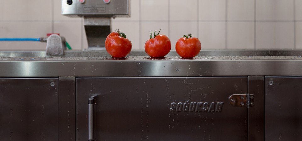 Sebze Yıkama Makinesi Domates