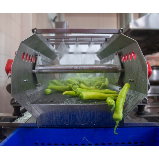 SYM-300 Vibrasyon Konveyörlü Sebze Yıkama Makinesi