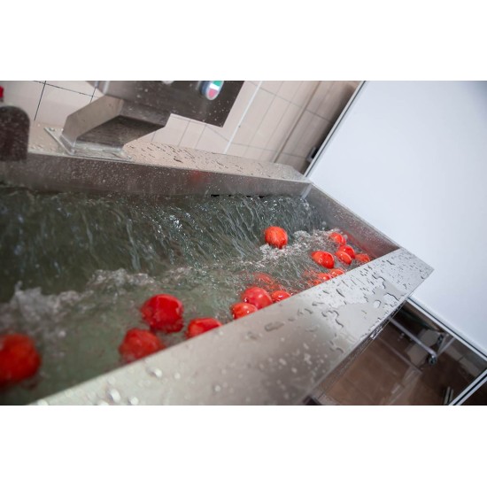 SYM-300 Vibrasyon Konveyörlü Sebze Yıkama Makinesi