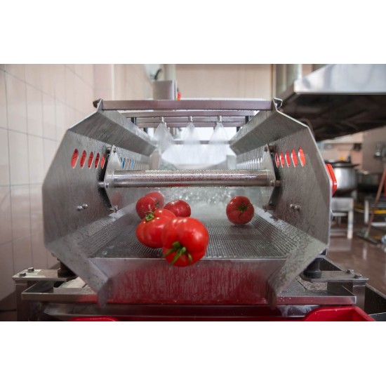 SYM-300 Vibrasyon Konveyörlü Sebze Yıkama Makinesi