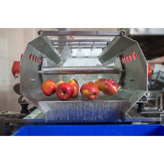 SYM-300 Vibrasyon Konveyörlü Sebze Yıkama Makinesi