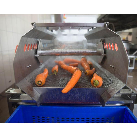 SYM-300 Vibrasyon Konveyörlü Sebze Yıkama Makinesi