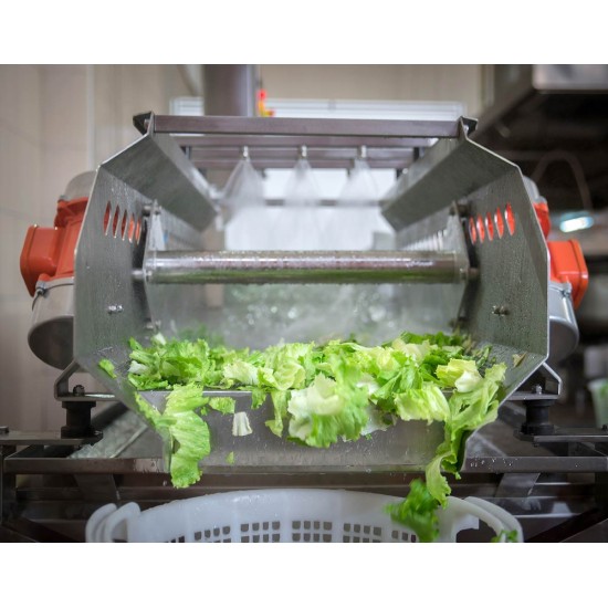 SYM-300 Vibrasyon Konveyörlü Sebze Yıkama Makinesi