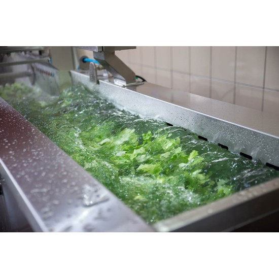 SYM-300 Vibrasyon Konveyörlü Sebze Yıkama Makinesi