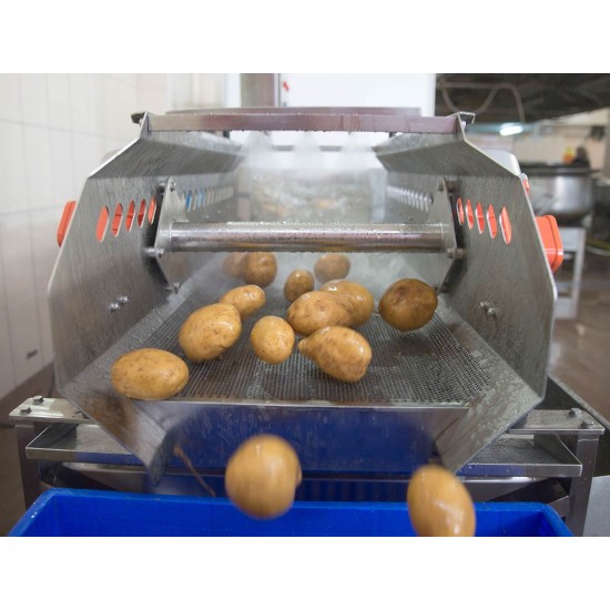 SYM-300 Vibrasyon Konveyörlü Sebze Yıkama Makinesi