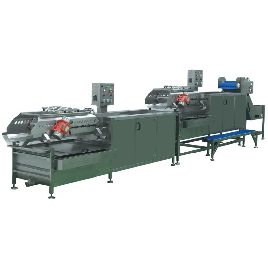 SYM-600 Sebze ve Meyve Yıkama Hattı